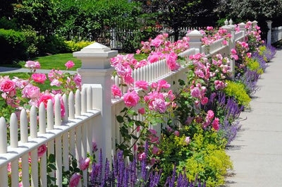 What is the best type of fence for gardens?