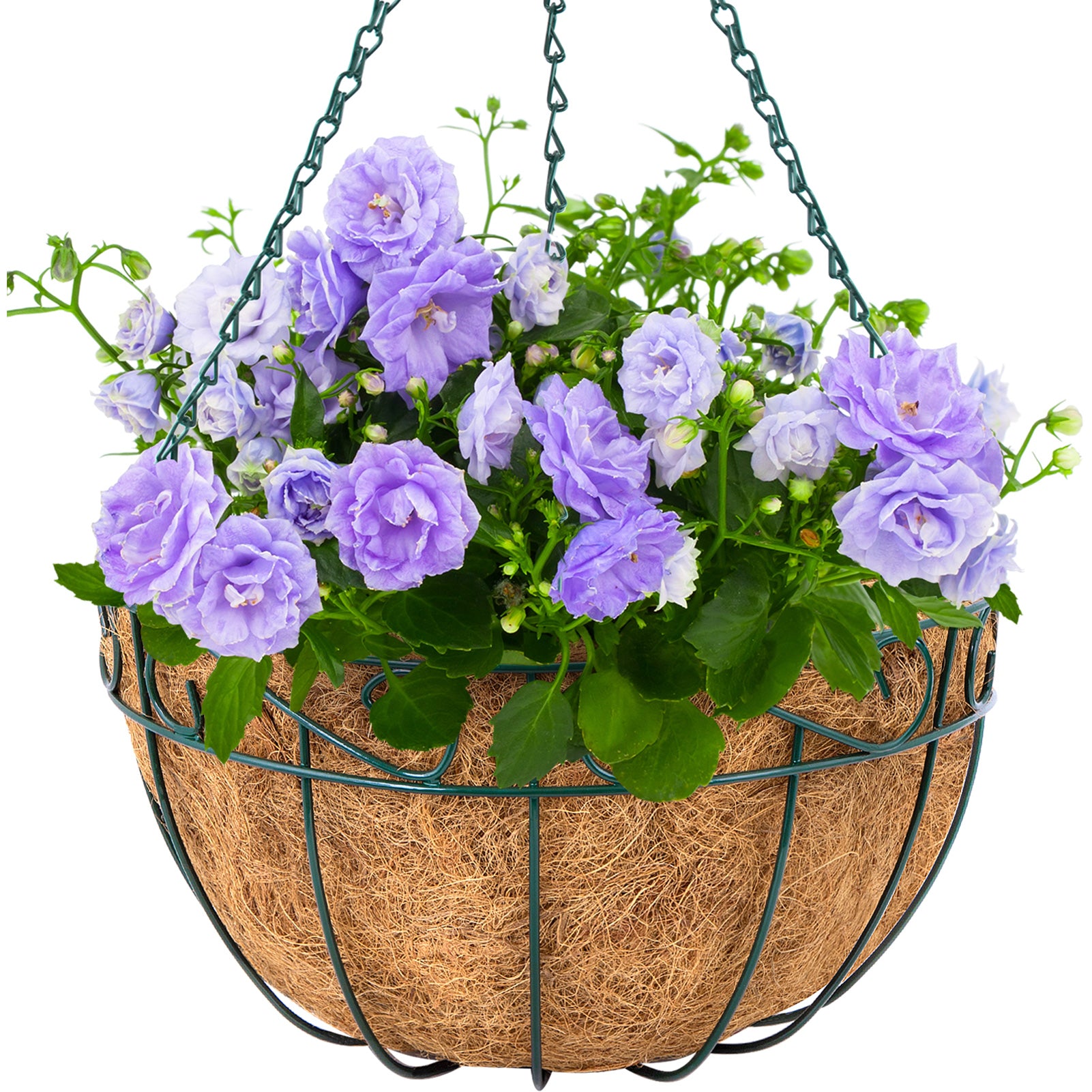 14 inch hanging baskets for plants Amgabeli 4 Pack 14 Inch Hanging Baskets for Plants Flowers with Metal – Amagabeli