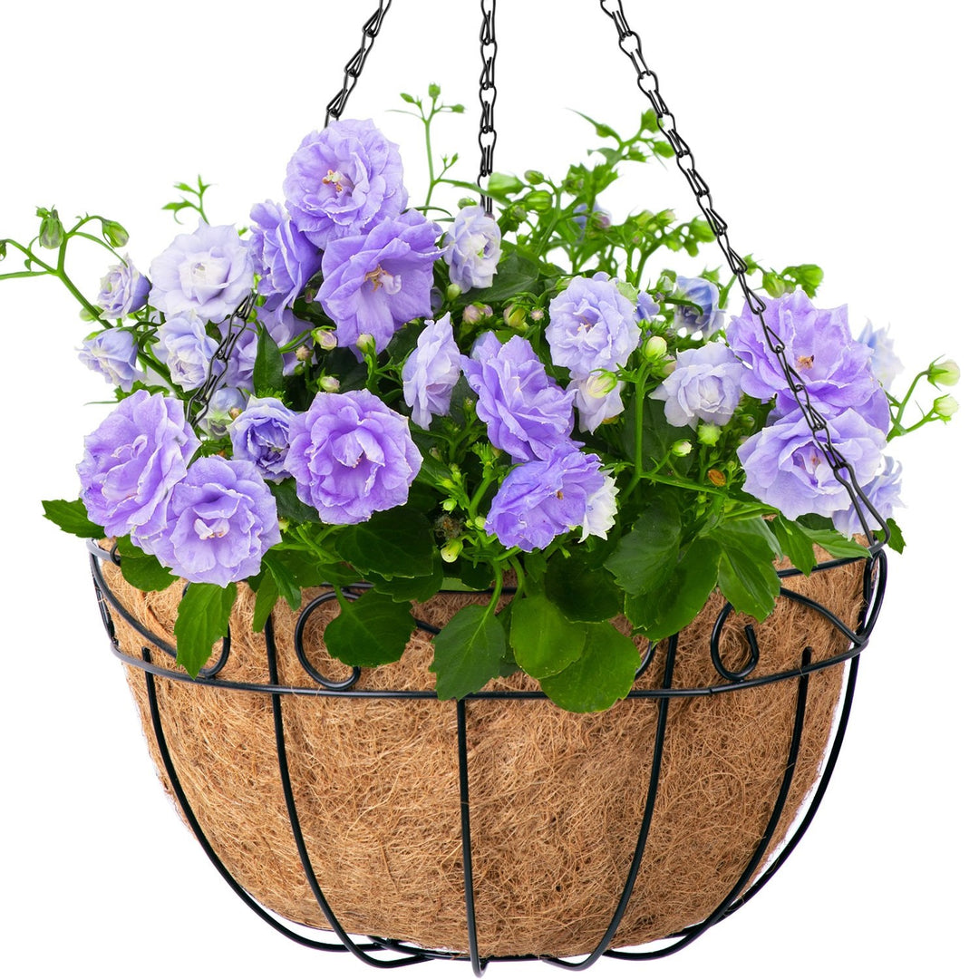 Amgabeli 4 Pack 14 Inch Hanging Baskets for Plants Flowers with Metal –  Amagabeli