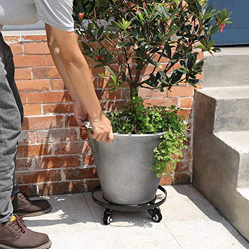 plant stand for extra large pots Amagabeli 2 Pack 14" Metal Plant Caddy Heavy Duty Iron Potted Plant Stand  with Wheels Flower Pot BG2071